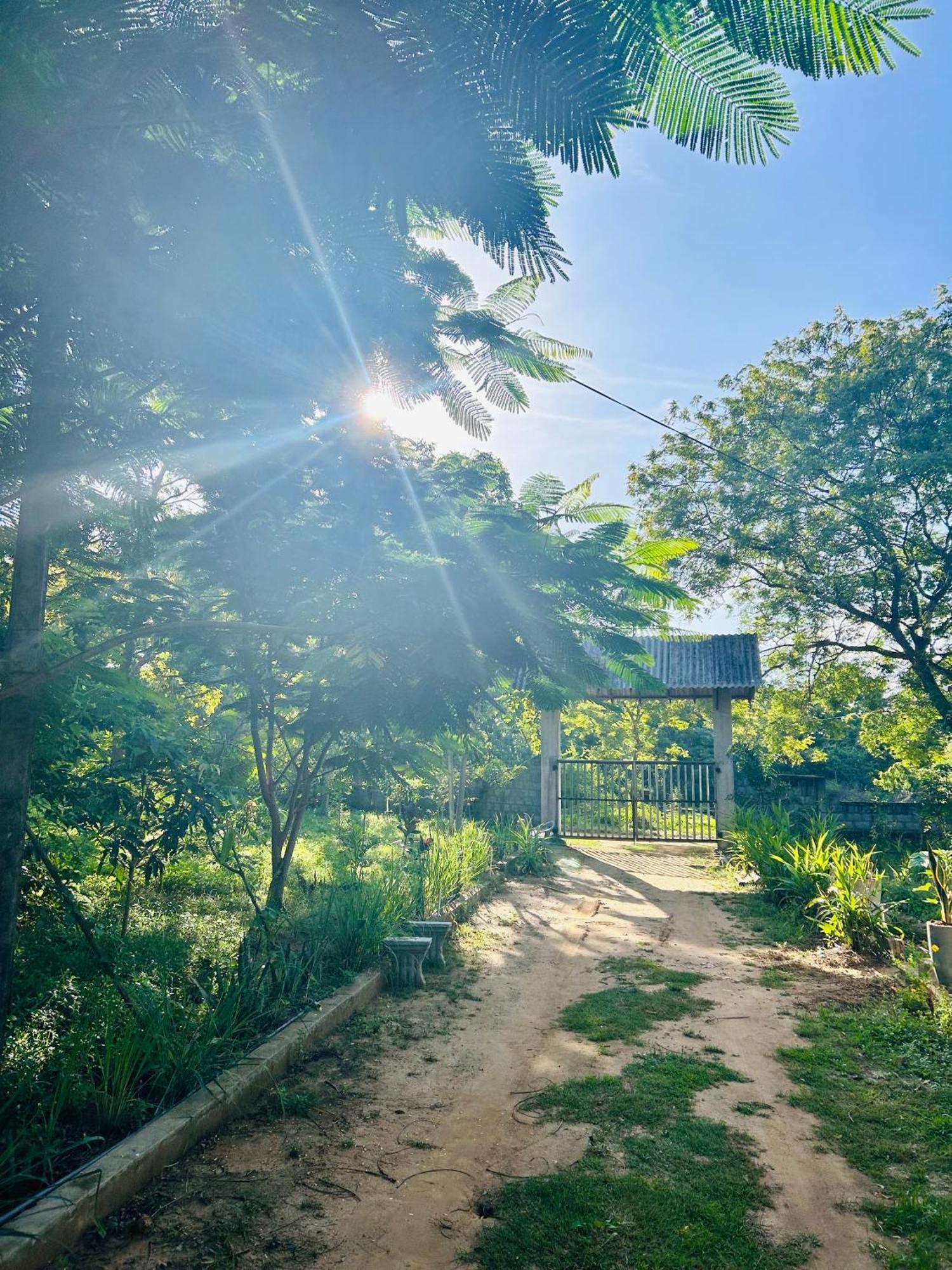 Neem Holiday Bungalow Yala 蒂瑟默哈拉默 外观 照片